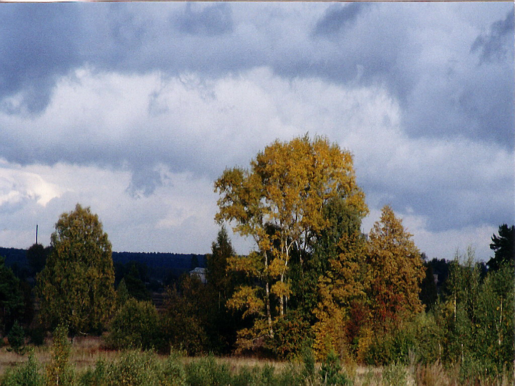 Осенний вид