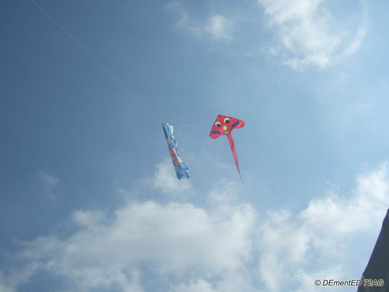 DSCF5674