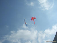 DSCF5674