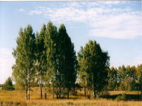 Осень-3