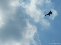 DSCF5730