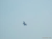 DSCF5731