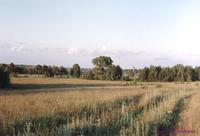 Просторы g00095