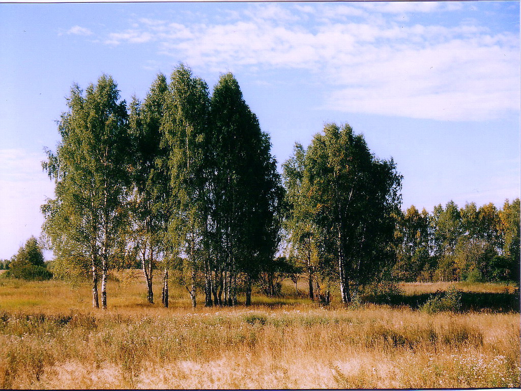 Солнечный день1