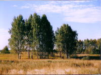 Солнечный день1
