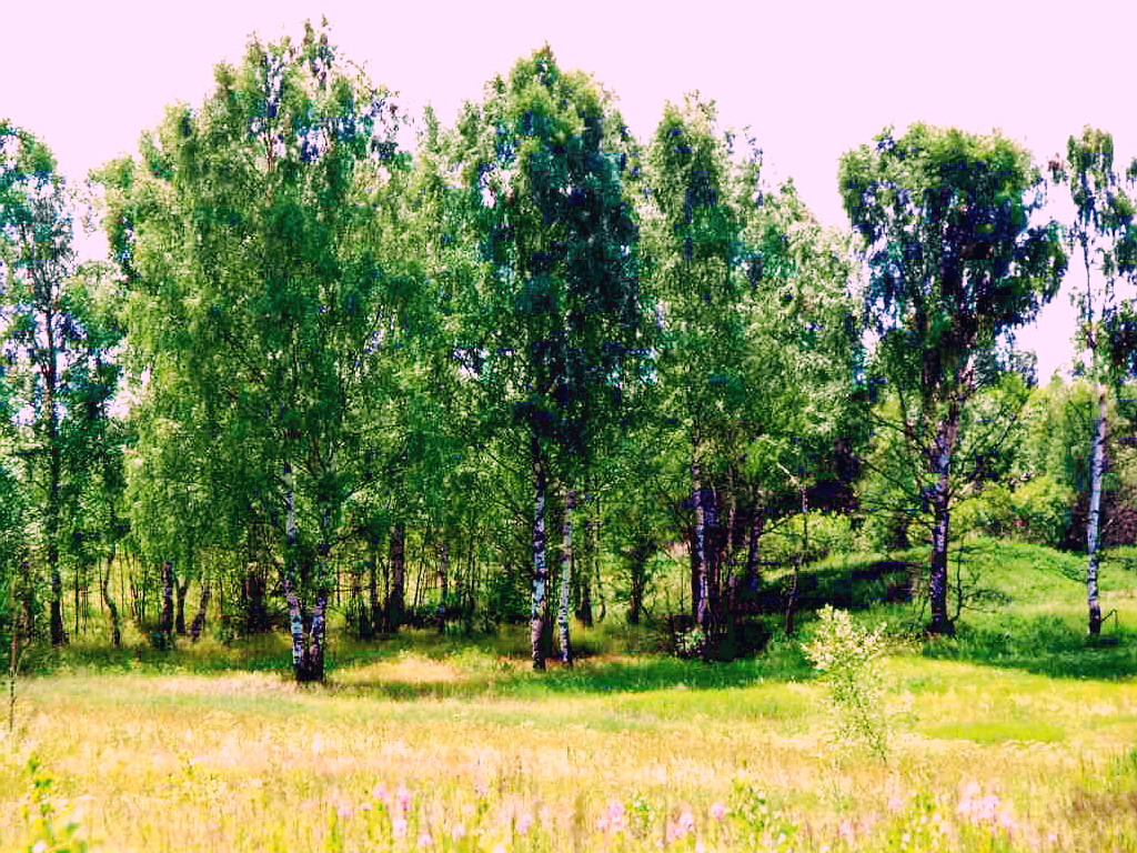 Лесок