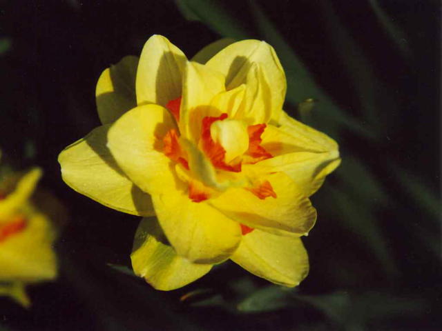 73