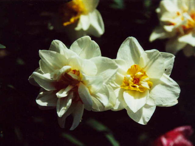 76