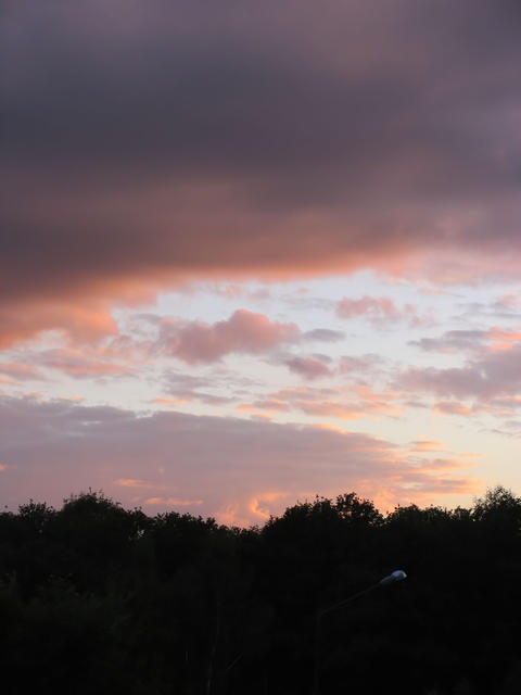 IMG_1551