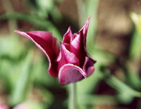 85