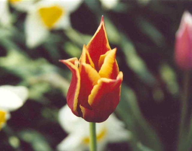89