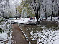 DSCF6647