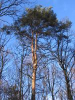 mIMG_2351