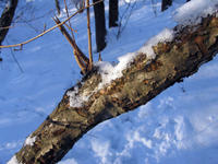 mIMG_2359