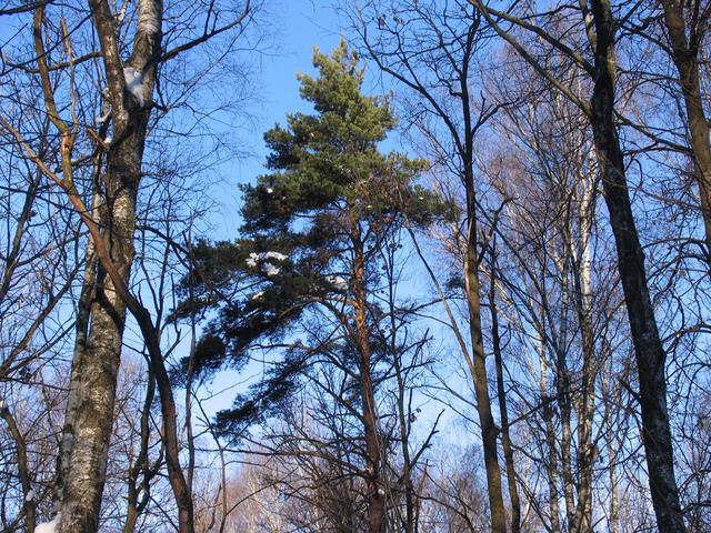 mIMG_2364