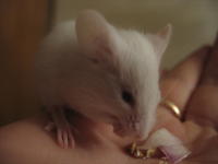 IMG_0923