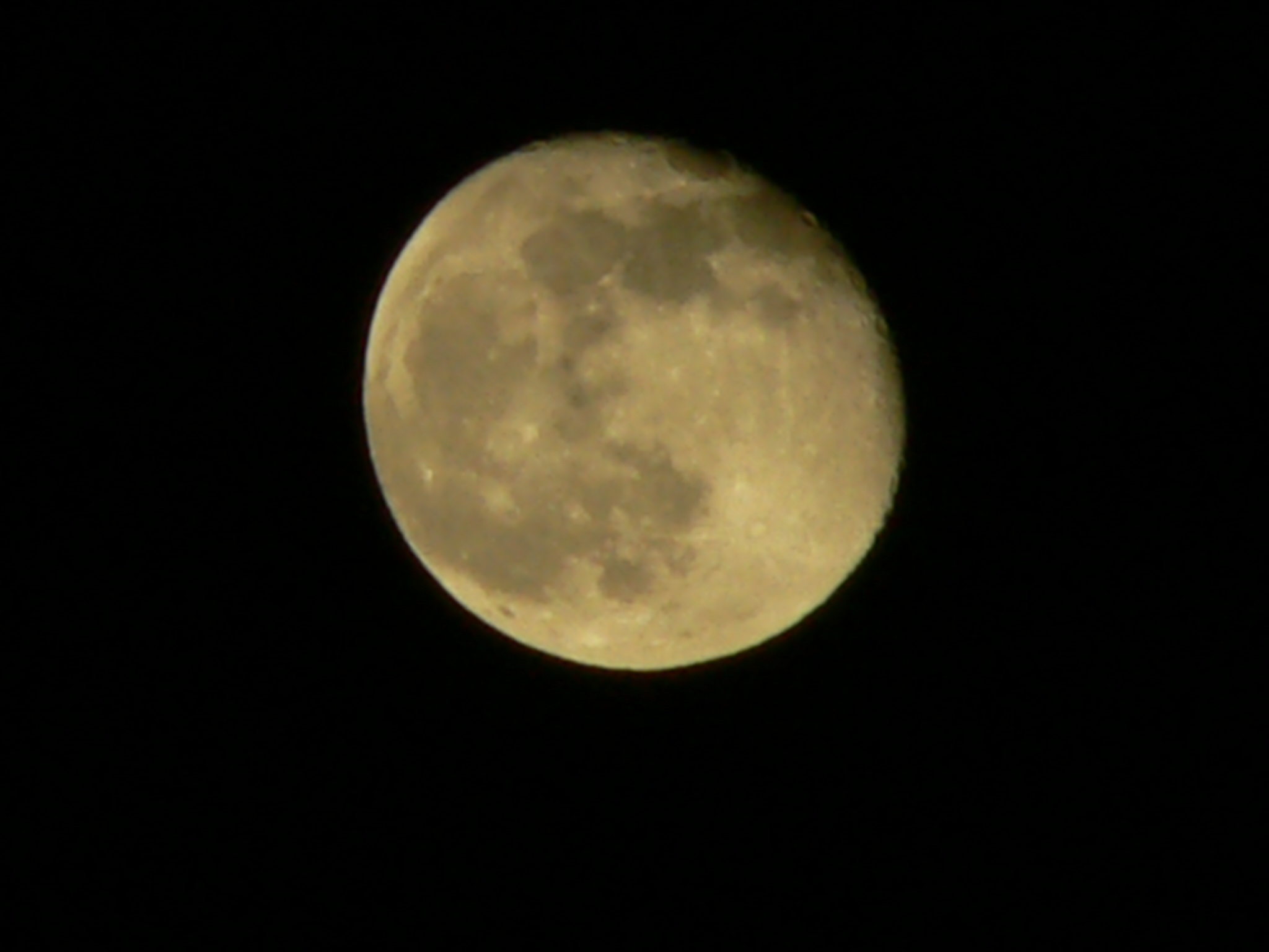 P1010406.JPG