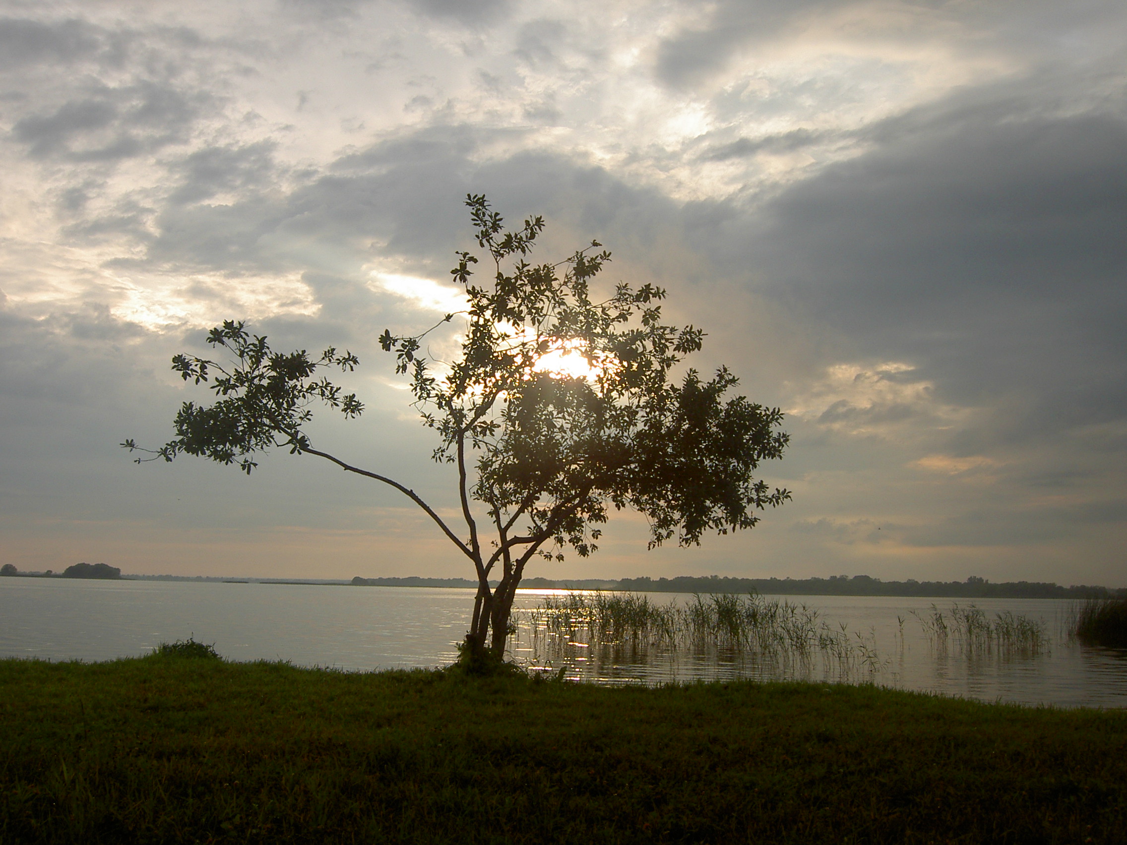 PICT1412.JPG