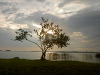 PICT1412.JPG