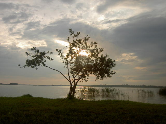 PICT1412.JPG