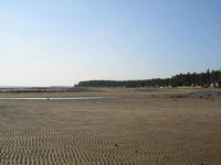 100-0054_IMG