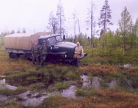 Pim0007