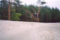 сканирование0039