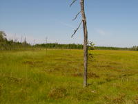 S3600209