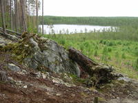 S3600382
