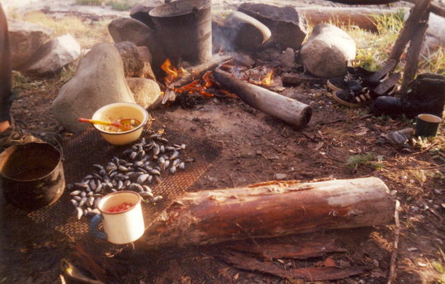 сканирование0032