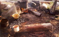 сканирование0032