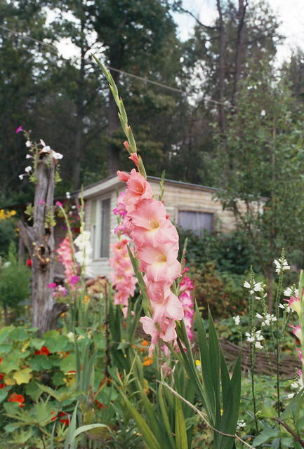 R004-018