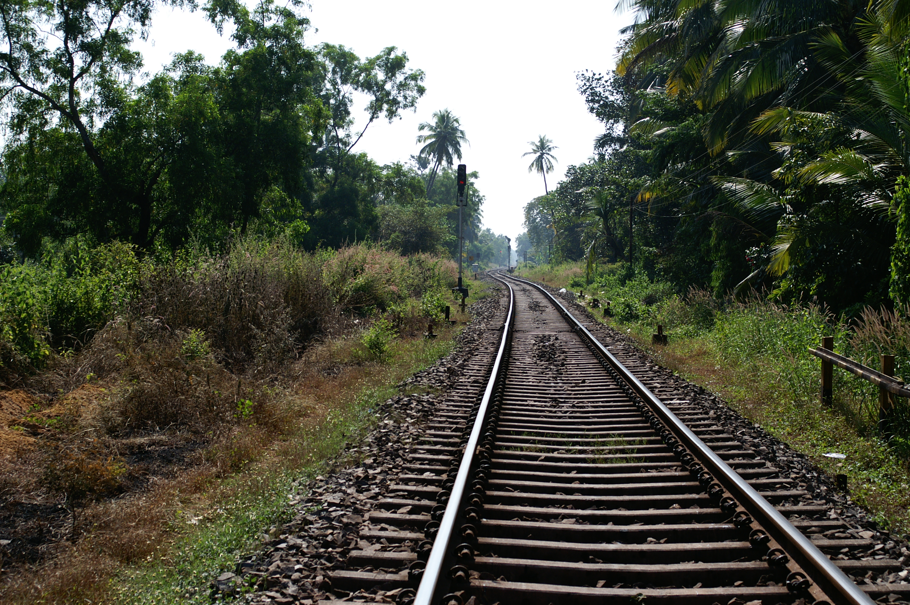PICT0463.JPG