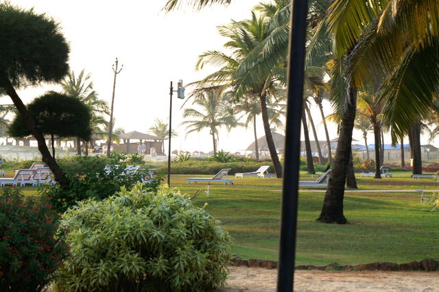 PICT0749.JPG