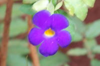 PICT0750.JPG