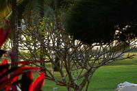 PICT0744.JPG