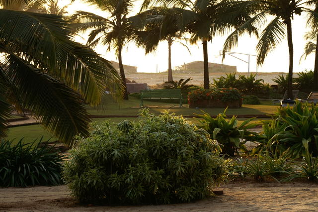 PICT0747.JPG