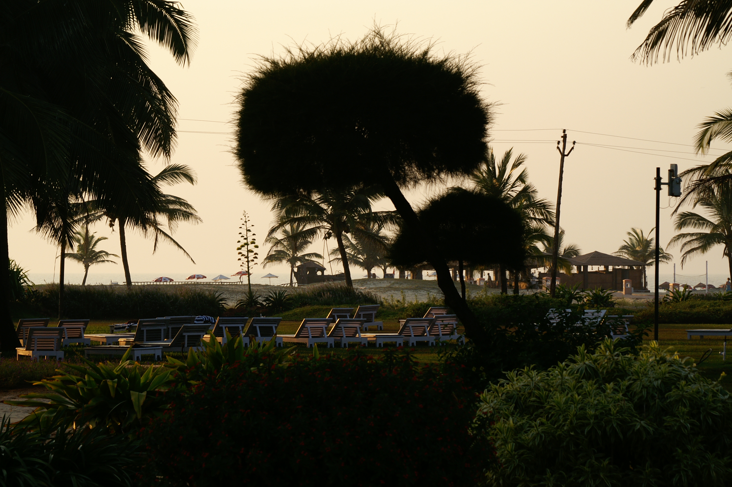 PICT0748.JPG