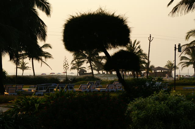 PICT0748.JPG