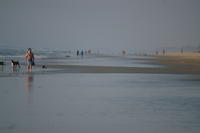 PICT1090.JPG