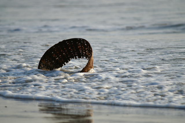 PICT1095.JPG