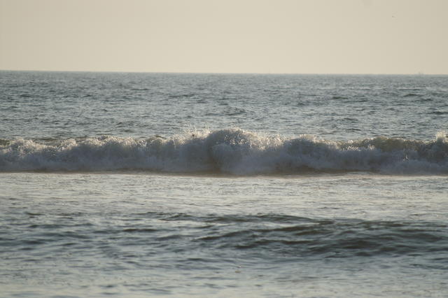PICT1100.JPG