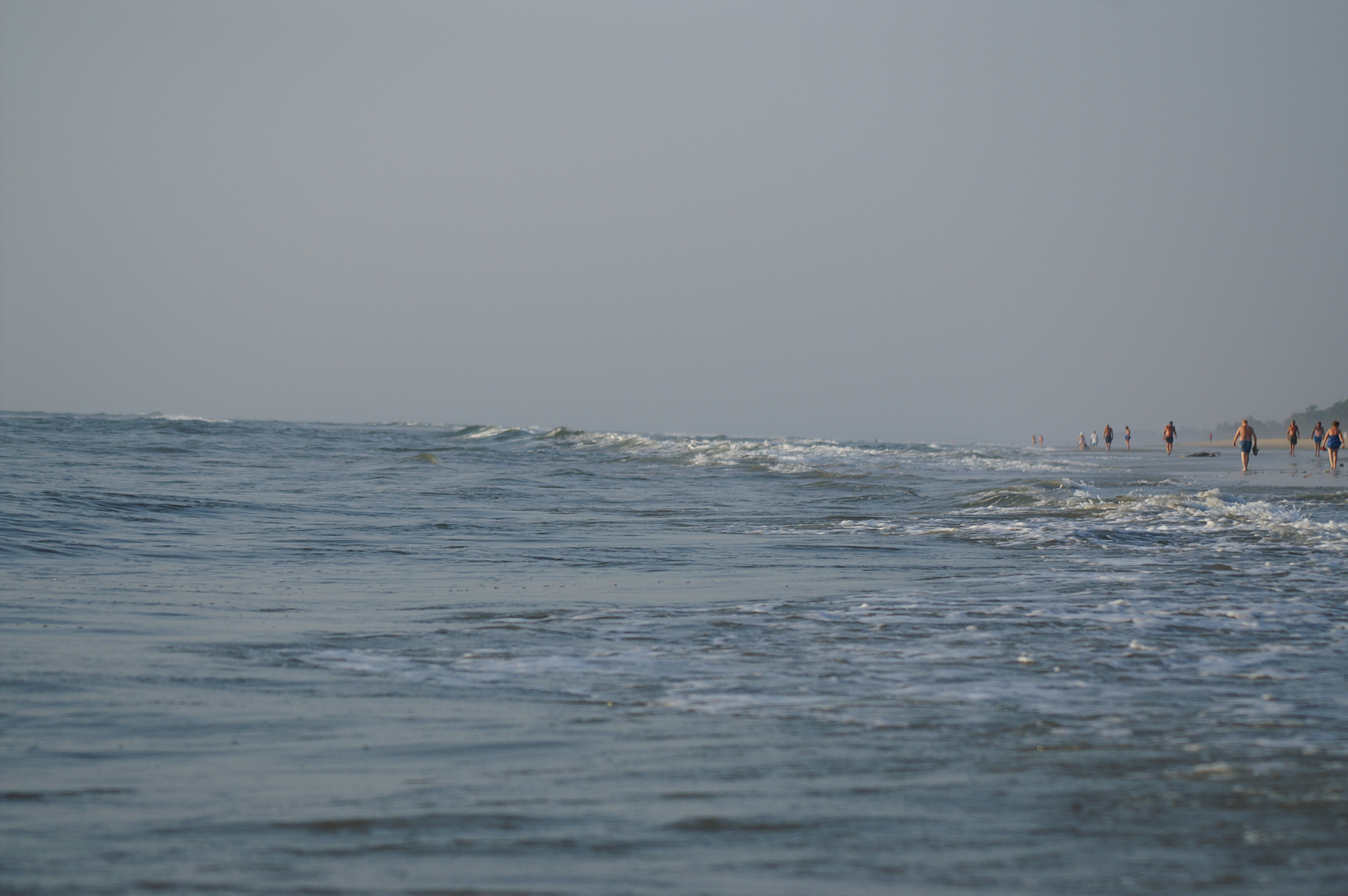 PICT1103.JPG
