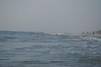 PICT1103.JPG