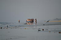 PICT1105.JPG