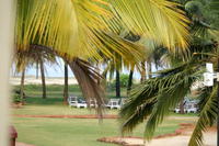 PICT0469.JPG
