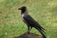 PICT0470.JPG