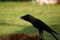 PICT0471.JPG
