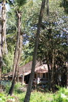 PICT0865.jpg