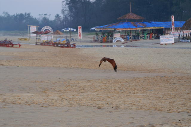 PICT0768.JPG
